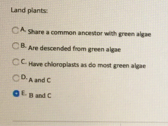 Land plants: CA. Share a common ancestor with green algae - U B. Are descended from green algae C. Have chloroplasts as do mo