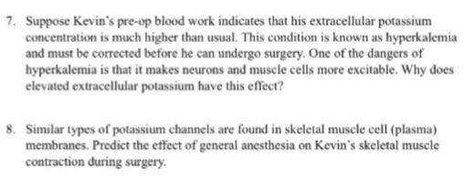 Going Under the Knife: A Case on Membrane Structur