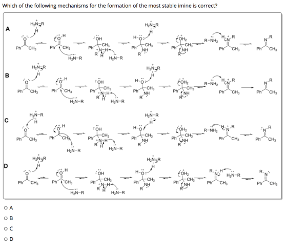 Which of the following mechanisms for the formation of the most stable imine is correct? HNER HIN=R А OH йон, -cн, Ph (NH R-N