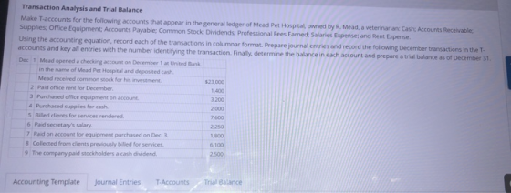 Transaction Analysis and Trial Balance Make T-accounts for the following accounts that appear in the general ledger of Mead P