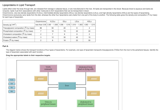 Lipoproteins in Lipid Transport Lipids either ent