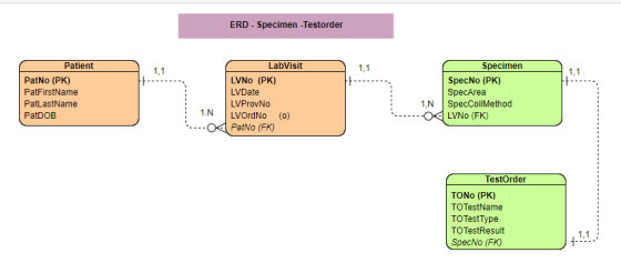 ERD - Specimen - Testorder Patient 1.1 PatNO (PK) PatFirstName PatLastName PatDOB LabVisit LVNO (PK) LVDate LVProvNo LVOrdNo