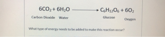 6CO2 + 6H20 → C6H12O6 + 602 Glucose Oxygen Carbon Dioxide Water What type of energy needs to be added to make this reaction o
