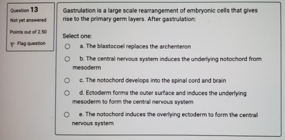 Gastrulation is a large scale rearrangement of embryonic cells that gives rise to the primary germ layers. After gastrulation