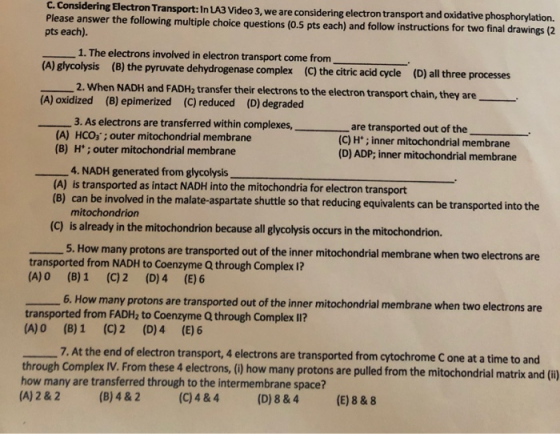 C. Considering Electron Transport: In LA3 Video 3, we are considering electron transport and oxidative phosphorylation. Pleas