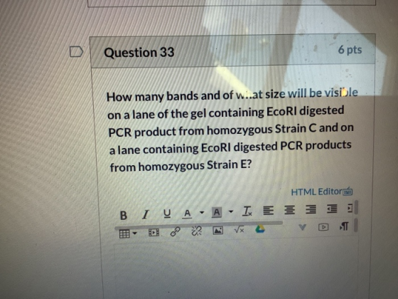 Question 33 6 pts How many bands and of w..at size will be visible on a lane of the gel containing EcoRI digested PCR product