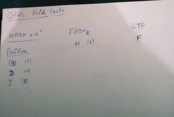 Cotric Acid Cycle NADH TH FADHA GTP H (6) Position (B) (3) D (u) J 18)