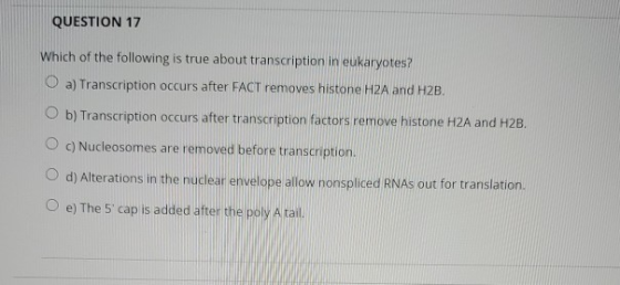 QUESTION 17 Which of the following is true about transcription in eukaryotes? O a) Transcription occurs after FACT removes hi