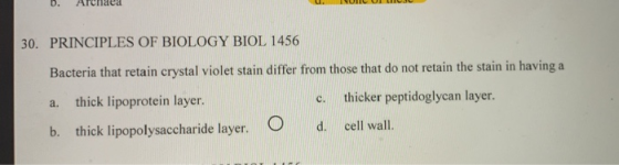 30. PRINCIPLES OF BIOLOGY BIOL 1456 Bacteria that retain crystal violet stain differ from those that do not retain the stain