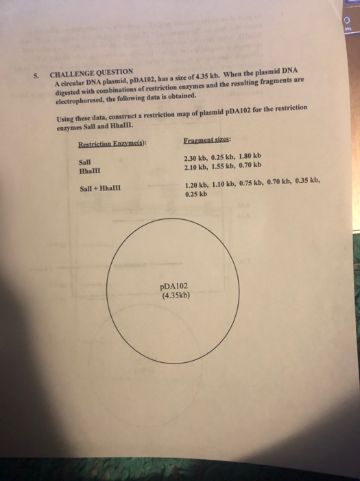 5. CHALLENGE QUESTION A circular DNA plasmid, PDA102, has a size of 4.35 kb. When the plasmid DNA digested with combinations