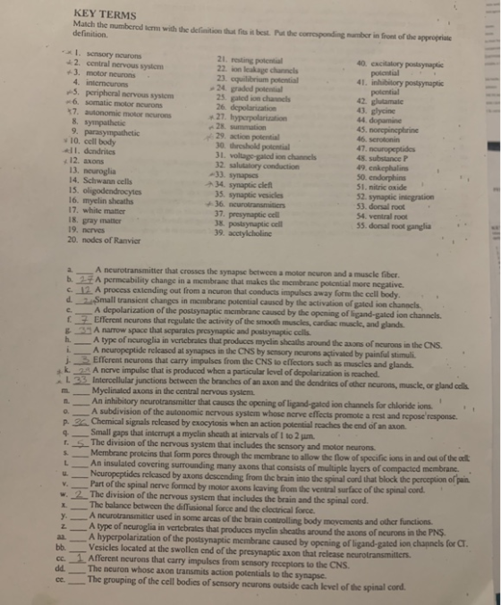 KEY TERMS March the numbered form with the definition that is it be definition the responding sumber in front of the appropri