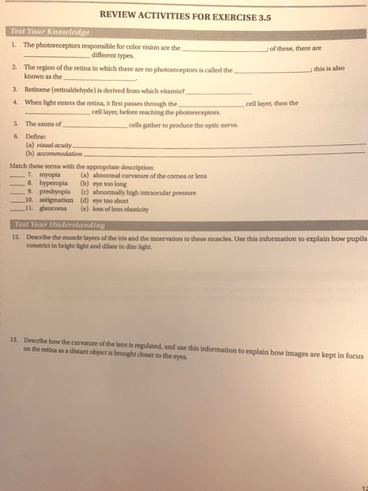 REVIEW ACTIVITIES FOR EXERCISE 3.5 of these, there are this is also cell layer, then the Test Your knowledge 1. The photorece