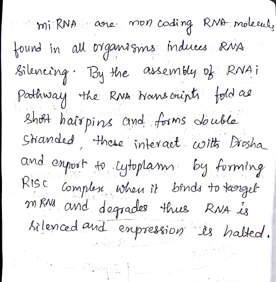mi RNA ao mon coding RMA mo the RNA onsoupt ipld as and onnpt to silenced and expression ts halled