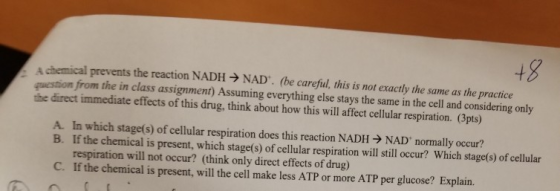 +8 A chemical prevents the reaction NADH →NAD. (be careful, this is not exactly the same as the practice question from the in