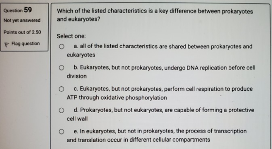 Question 59 Not yet answered Which of the listed characteristics is a key difference between prokaryotes and eukaryotes? Poin
