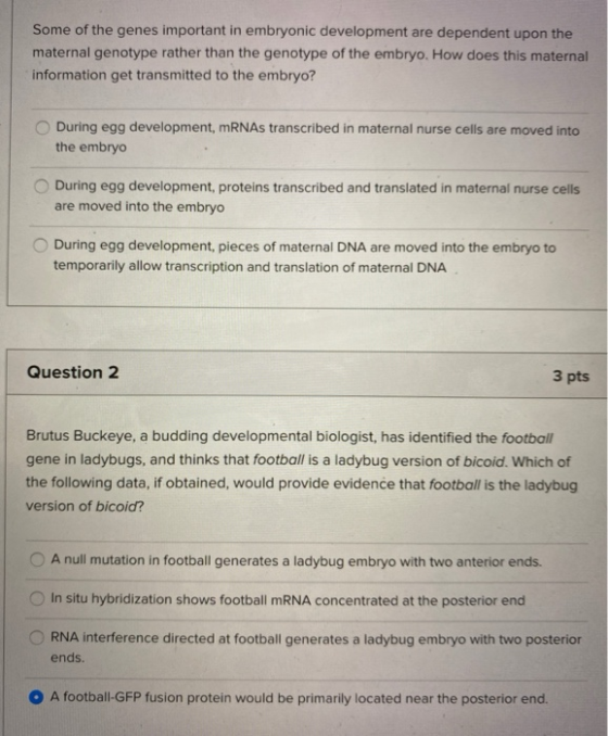 Some of the genes important in embryonic development are dependent upon the maternal genotype rather than the genotype of the