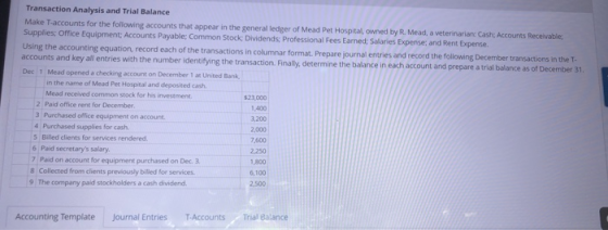 Transaction Analysis and Trial Balance Make T-accounts for the following accounts that appear in the general ledger of Mead P