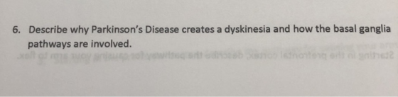 6. Describe why Parkinsons Disease creates a dyskinesia and how the basal ganglia pathways are involved.