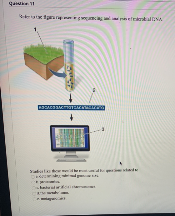 Question 11 Refer to the figure representing sequencing and analysis of microbial DNA. 1 AGCACGGACTTGTCACATACACATG 3 Studies