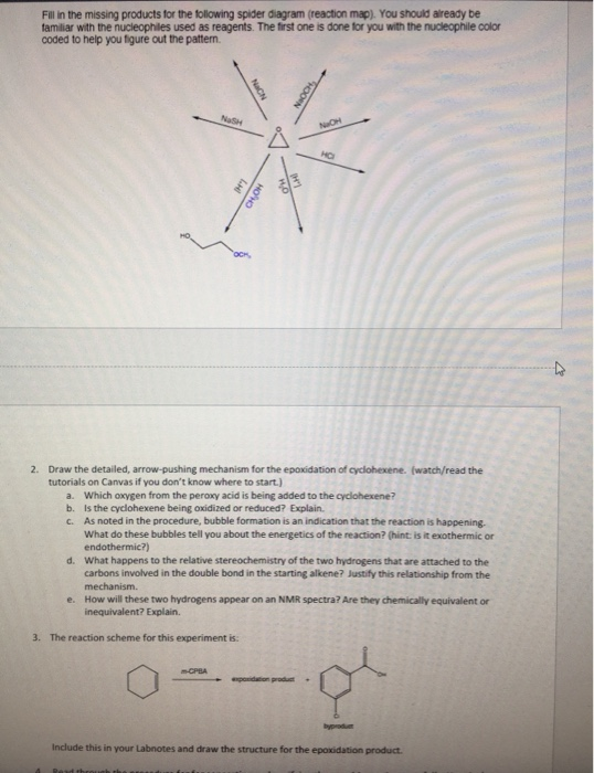 Fill in the missing products for the following spider diagram (reaction map). You should already be familiar with the nucleop
