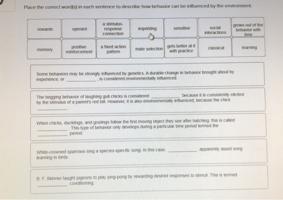 Place the correct word(s) in each sentence to describe how behavior can be influenced by the environment. rewards operant a s