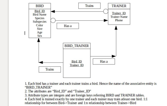 BIRD Trains TRAINER Bird ID Bird Name Trainer ID Trainer Name Phone Species Subspecies Color Size Age Has a BIRD_TRAINER Bird