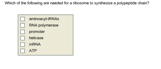 Which of the following are needed for a ribosome to synthesize a polypeptide chain? aminoacyl-tRNAs ? RNA polymerase promoter ? helicase ???