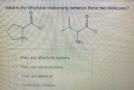 What is the structural relationship between these two molecules? 0 0 ENNY NH They are structural isomers They are stereoisom