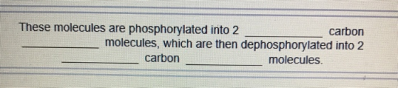 These molecules are phosphorylated into 2 carbon molecules, which are then dephosphorylated into 2 carbon molecules.