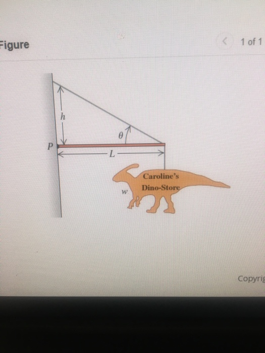 Figure < 1 of 1 Carolines Dino-Store Copyrig