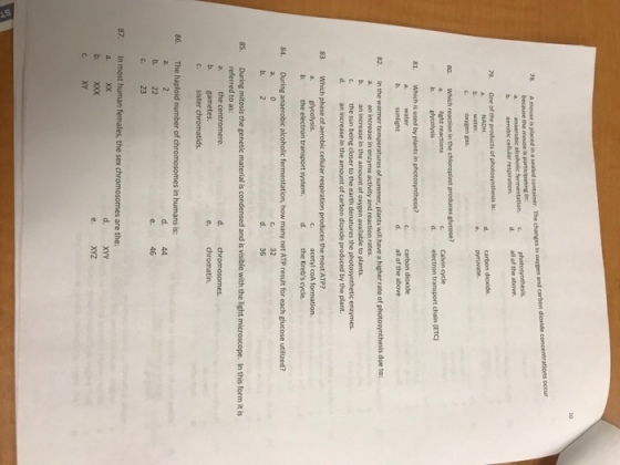 78. A mouse is placed in a sealed container. The changes in osygen and carbon dioxide d. all of the above. aerobic cellular respiration 79. One of the products of photosynthesis is: d carbon dioxide. e pyruvate. a. NADH c.oxygen gas. Which reaction in the chloroplast produces glucose? 80. C. Calvin cycle d. electron transport chalin (ETC) b. glycolysis C. carbon dioxide d. all of the above b. sunlight In the warmer temperatures of summer, plants will have a higher rate of photosynthesis due to: a. an increase in enzyme acthity and reaction rates b. an increase in the amount of oxygen available to plants. c. the sun being closer to the earth denatures the photosynthetic enzymes d. an increase in the amount of carbon dioxide produced by the plant. 82. 83. Which phase of aerobic celilular respiration produces the most ATP? a. b. glycolysis. the electron transport system. d. the Krebs cycle During anaerobic alcoholic fermentation, how many net ATP result for each glucose utilized? C. d. 84. a.0 32 36 8S. During mitosis the genetic material is condensed and is visible with the light microscope. In this form it is referred to as: d. chromosomes. e- chromatin. c. sister chromatids. 86. The haploid number of chromosomes in humans is: a. 2 b. 22 c. 23 d. 44 e. 46 87. In most human females, the sex are the: b. XxX c. XY e. XYZ