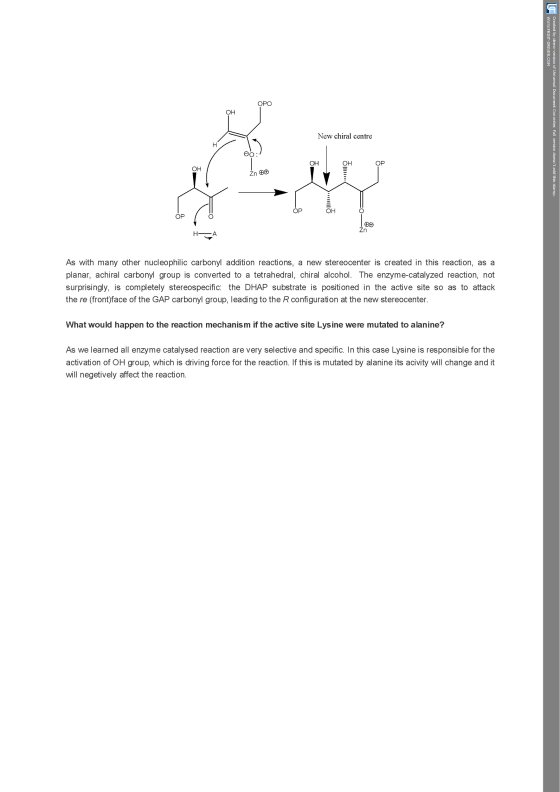 OPO OH New chiral centre OH OH OP OH OP OH OP GO Zn H A As with many other nucleophilic carbonyl addition reactions, a new st