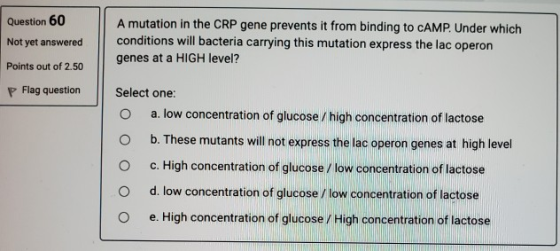 Question 60 Not yet answered Points out of 2.50 P Flag question A mutation in the CRP gene prevents it from binding to CAMP.