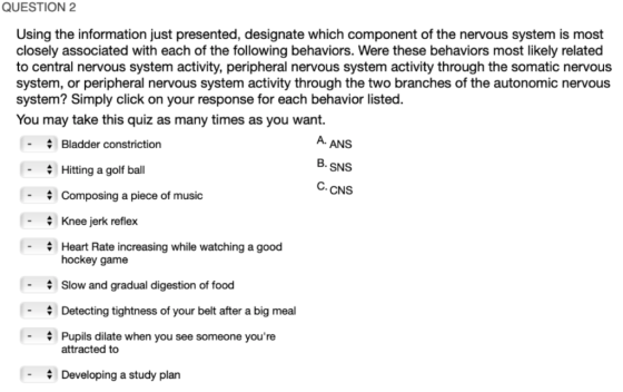 QUESTION 2 Using the information just presented, designate which component of the nervous system is most closely associated w