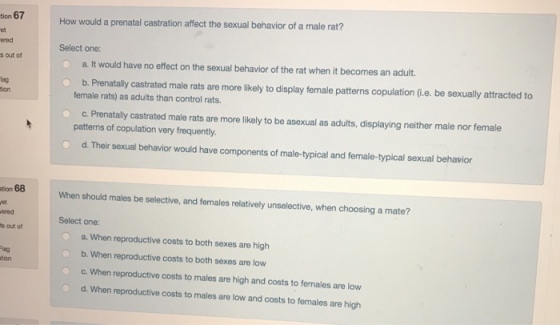tion 67 et ered s out of How would a prenatal castration affect the sexual behavior of a male rat? Select one: O a. It would have no effect on the sexual behavior of the rat when it becomes an adult. lag ion b. Prenatally castrated male rats are more likely to display temale patterns copulation (i.e. be sexually attracted to female rats) as adults than control rats. O c. Prenatally castrated male rats are more likely to be asexual as adults, displaying neither male nor female patterns of copulation very frequently. d. Their sexual behavior would have components of male-typical and female-typical sexual behavior tion 68 When should males be selective, and females relatively unselective, when choosing a mate? ered Select one: s out of a. When reproductive costs to both sexes are high b. When reproductive costs to both sexes are low a. When reproductive costs to males are high and costs to females are low d. When reproductive costs to males are low and costs to females are high lag tion