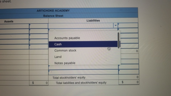 sheet. ARTICHOKE ACADEMY Balance Sheet Assets Liabilities Accounts payable Cash Common stock Land Notes payable Total stockho