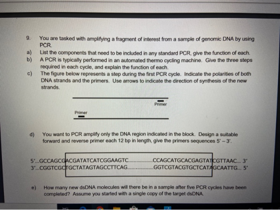 9. a) You are tasked with amplifying a fragment of interest from a sample of genomic DNA by using PCR List the components tha