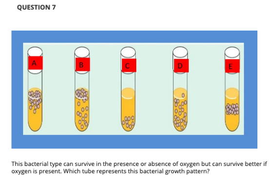 QUESTION 7 A B E BAB I 6800 60 This bacterial type can survive in the presence or absence of oxygen but can survive better if