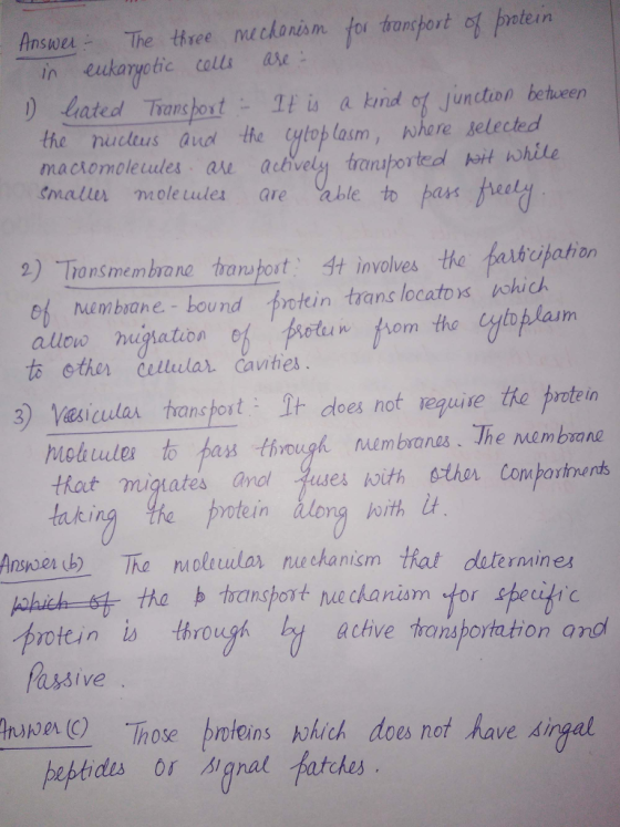 Answe- The three eckonisn fos trancport of potein in eukaryotic colls ase DLated Trans hotIf is a kind of juncton behwn the where selected nucdeus aud the ylop lasm, mackomolecules are actively transporteal hit while Smallr mole ules are able to pass har feary 2) Transmembrane transpot、 4t involves the abcipation ef embaane bound protein trans locatos ohic allow nugation e ts other lilular cawthes 3) Vasicular tanspot It does not reguise the protein Moli udu to ban througん Membranes. The Membrane tRaut taking the otein on jorth i anol Ansnoer The motular nuechanicm that datermines protein is through achive thonsportation and nape hose proleins wlich do nt ave ingal oes no