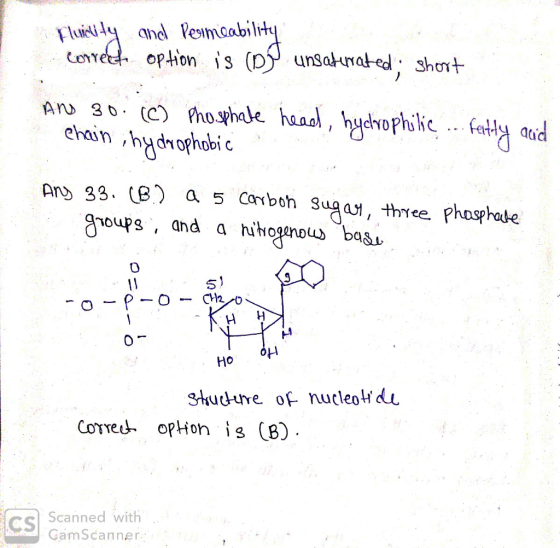 Fluidity correct and permeability option is (De unsaturated, short And 30. (C) Phosphate head, hydrophilic ... fently and cha