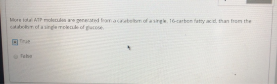 More total ATP molecules are generated from a catabolism of a single, 16-carbon fatty acid, than from the catabolism of a sin