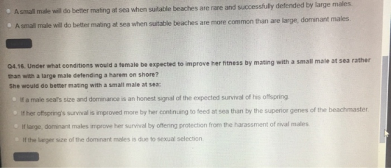• A small male will do better mating at sea when suitable beaches are rare and successfully defended by large males. A small