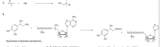 HBr Br NH2 он NH2 он NHCH3 но NH3 он ні оно NH3 он Biosynthesis of adreneline (epinephrine) он н