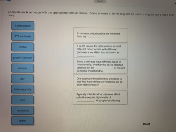 Saved Complete each sentence with the appropriate term or phrase. Some phrases or terms may not be used or may be used more t