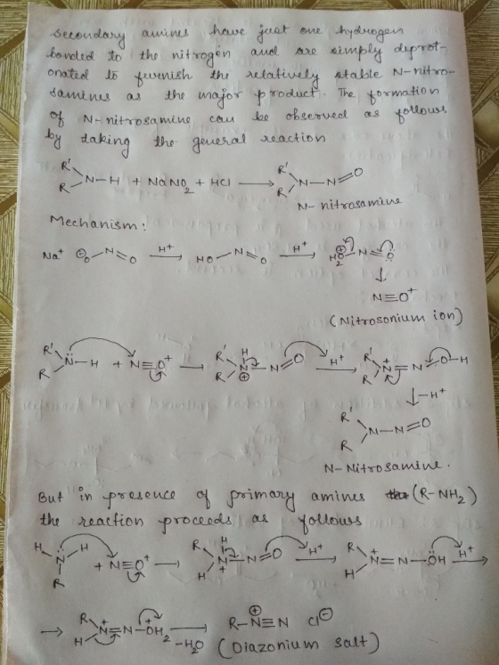 secondary amines have just one hydrogen bonded to the nitrogen and are simply deprot- onated to fevenish the relatively stabl