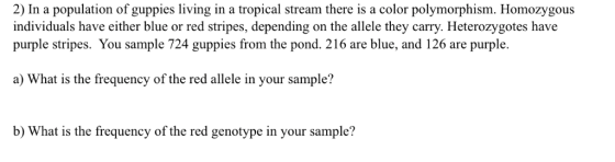 2) In a population of guppies living in a tropical stream there is a color polymorphism. Homozygous individuals have either b