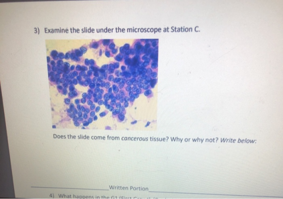 3) Examine the slide under the microscope at Station C. Does the slide come from cancerous tissue? Why or why not? Write belo