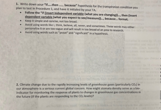 1. Write down your if.....then ...... because hypothesis for the transpiration condition you plan to test in Procedure 1, a