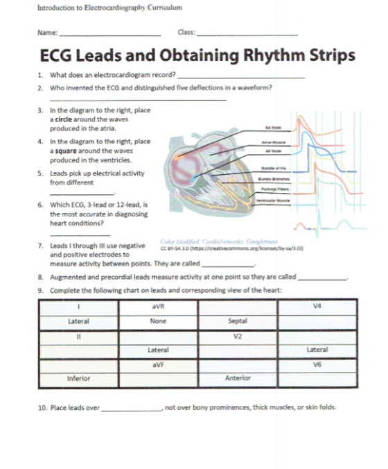 Introduction to Electrocardiography Curriculum Name: Class: ECG Leads and Obtaining Rhythm Strips 1. What does an electrocard