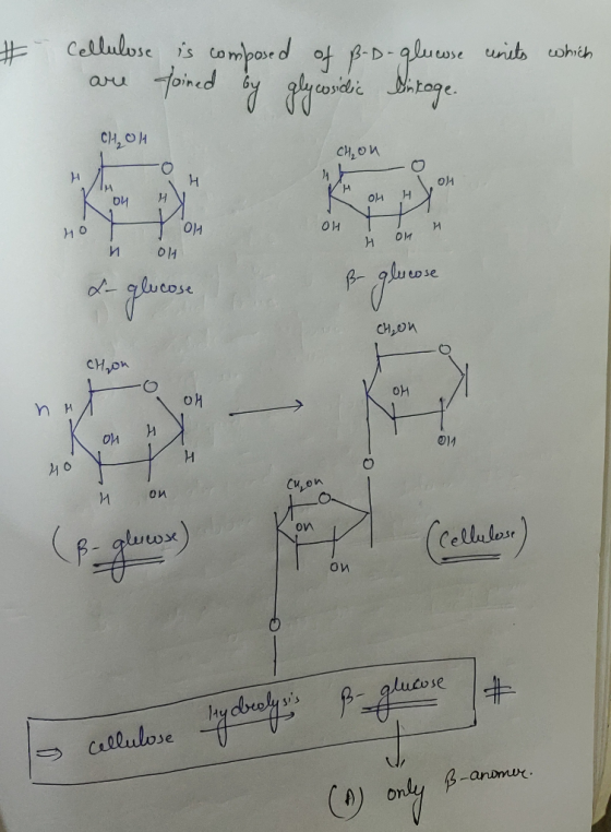 Cellulose is compor d ot pD-alue uib ohih oined tdge aru CH,OH CH,on 14 H t Oln И CHON CH,on Cu,on on Ccellular) Crllulose B-